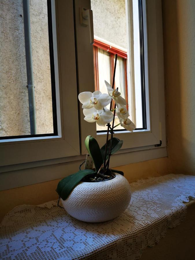 Casa Ida Villa Канобио Екстериор снимка